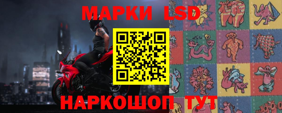 ЛСД экстази ecstasy  Вход с VPN  Новокубанск  LSD-25 экстази ecstasy 