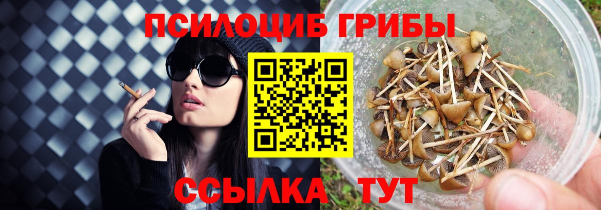 Галлюциногенные грибы MAGIC MUSHROOMS  где купить   Новокубанск  Псилоцибиновые грибы мицелий  Вход с VPN 